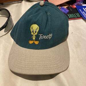 Vintage 90s Warner Bros. Looney Tunes Tweety Bird Two-Tone Snapback Hat